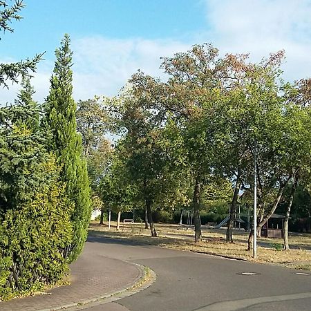 An Den Linden 31 Διαμέρισμα Λειψία Εξωτερικό φωτογραφία